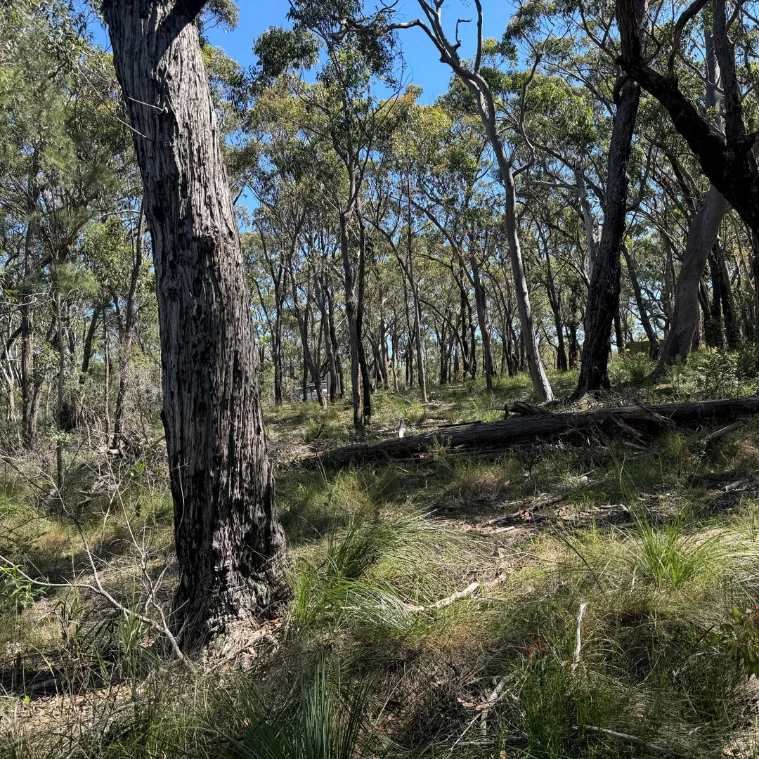 22 Carrington Avenue, Pindimar NSW 2324