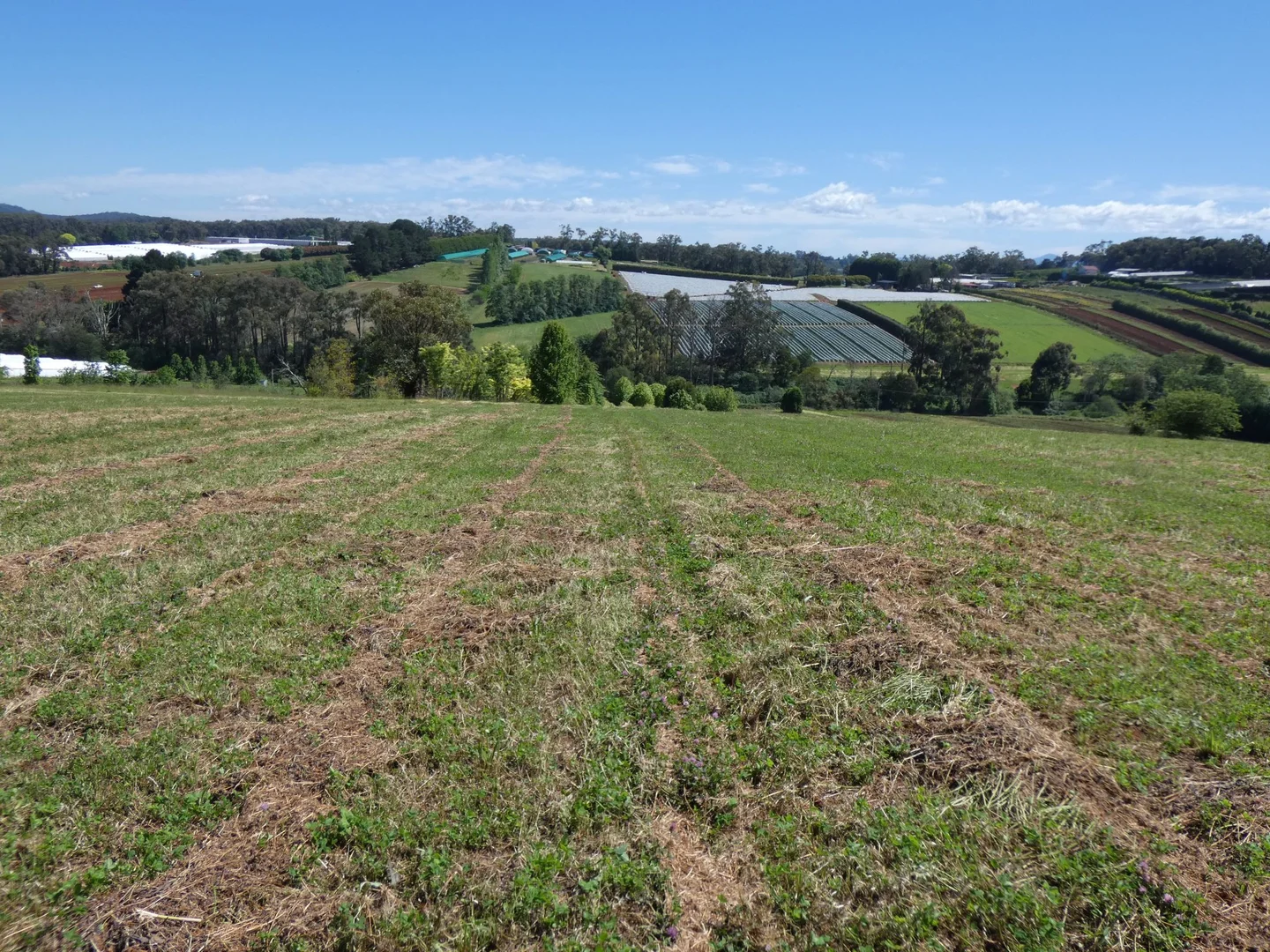 Additional image 10 of Lot 1/95 Macclesfield Road, Monbulk VIC 3793