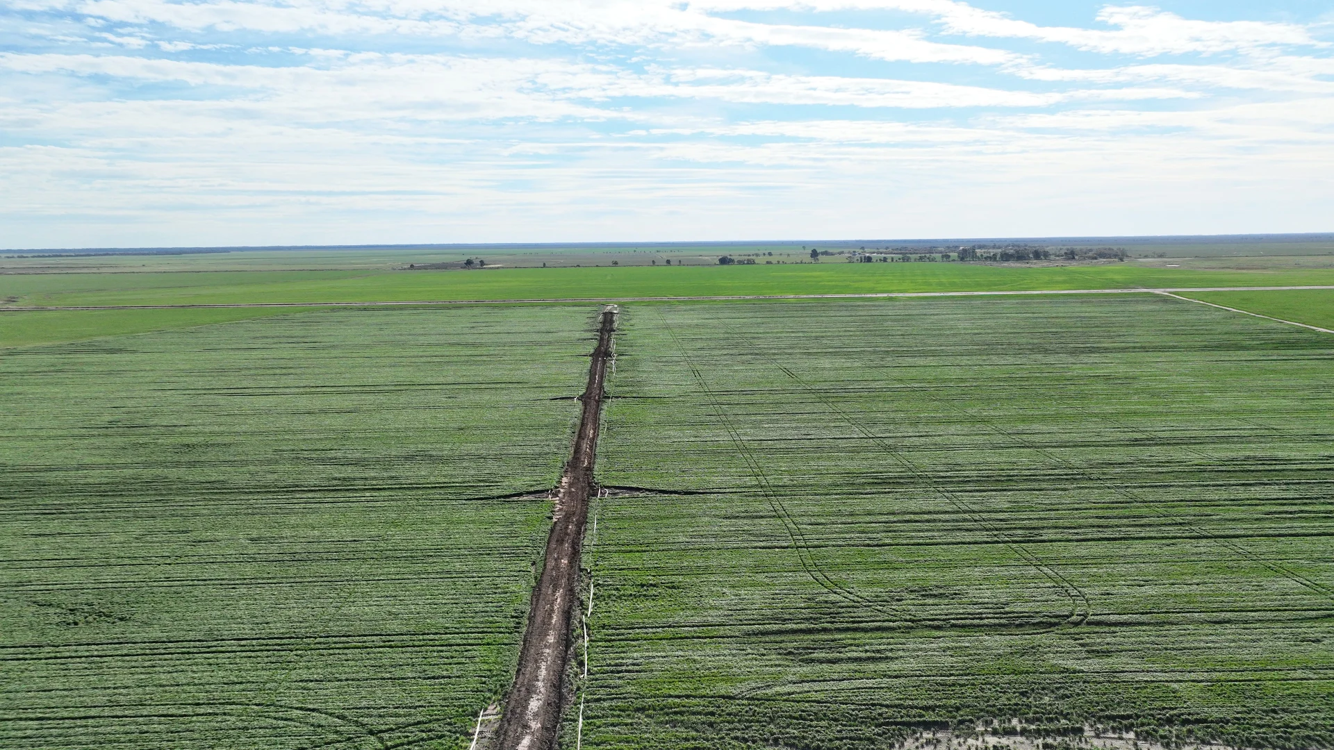 Additional image 20 of "North Devon" Dalys Road, Deniliquin NSW 2710