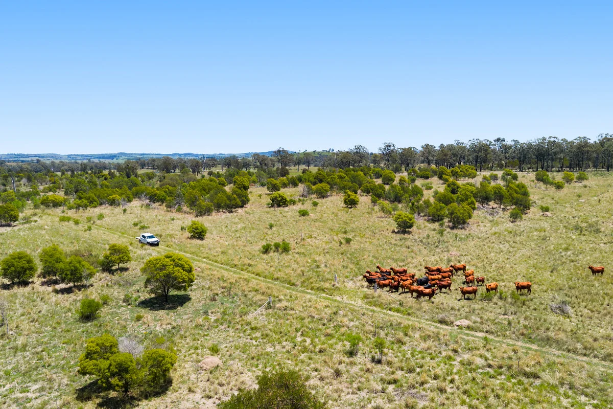 Additional image 23 of 723 Quinalow Peranga Road, Peranga QLD 4352