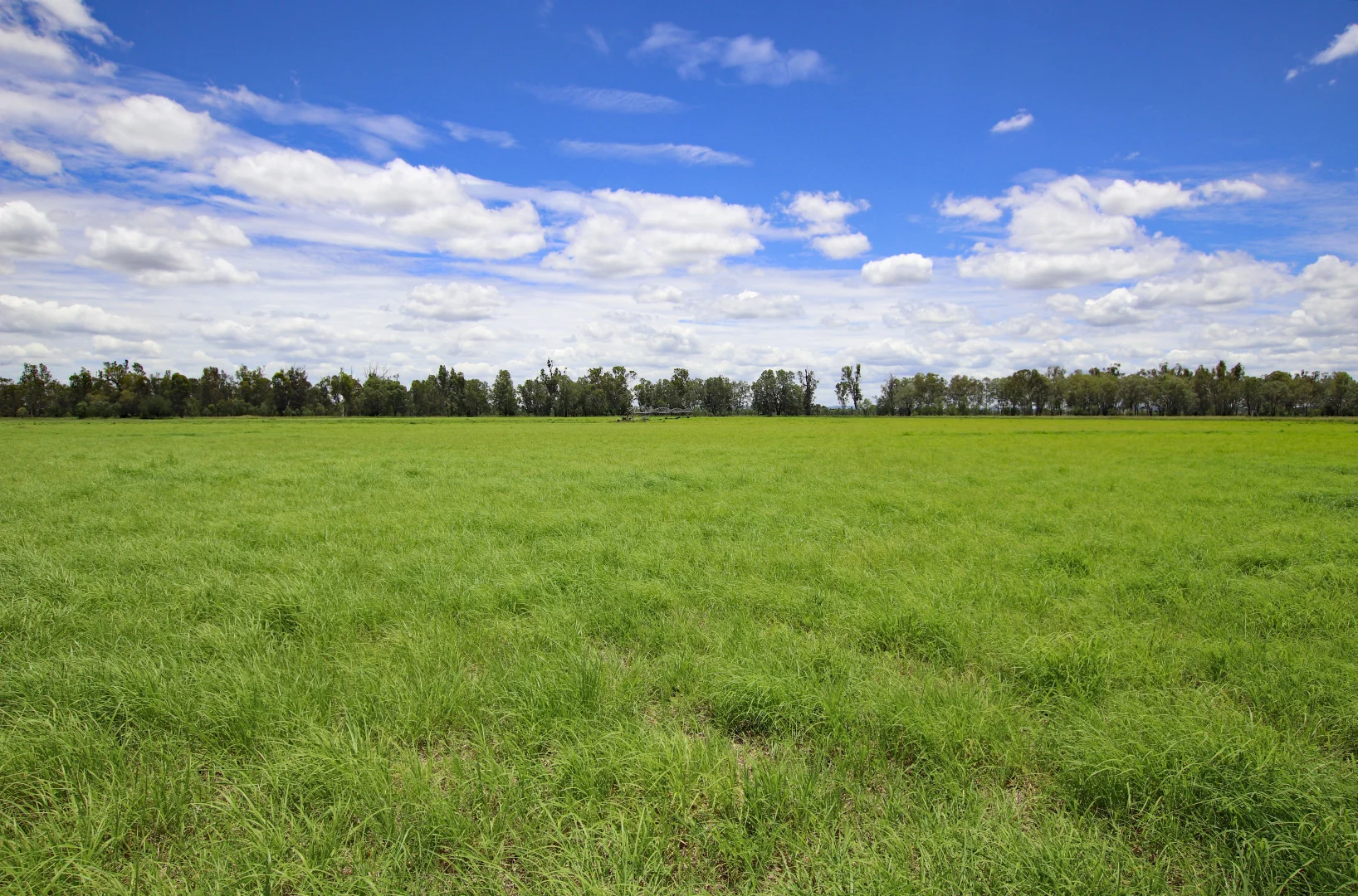 Additional image 11 of 220 Dingles Road, Dixalea QLD 4702