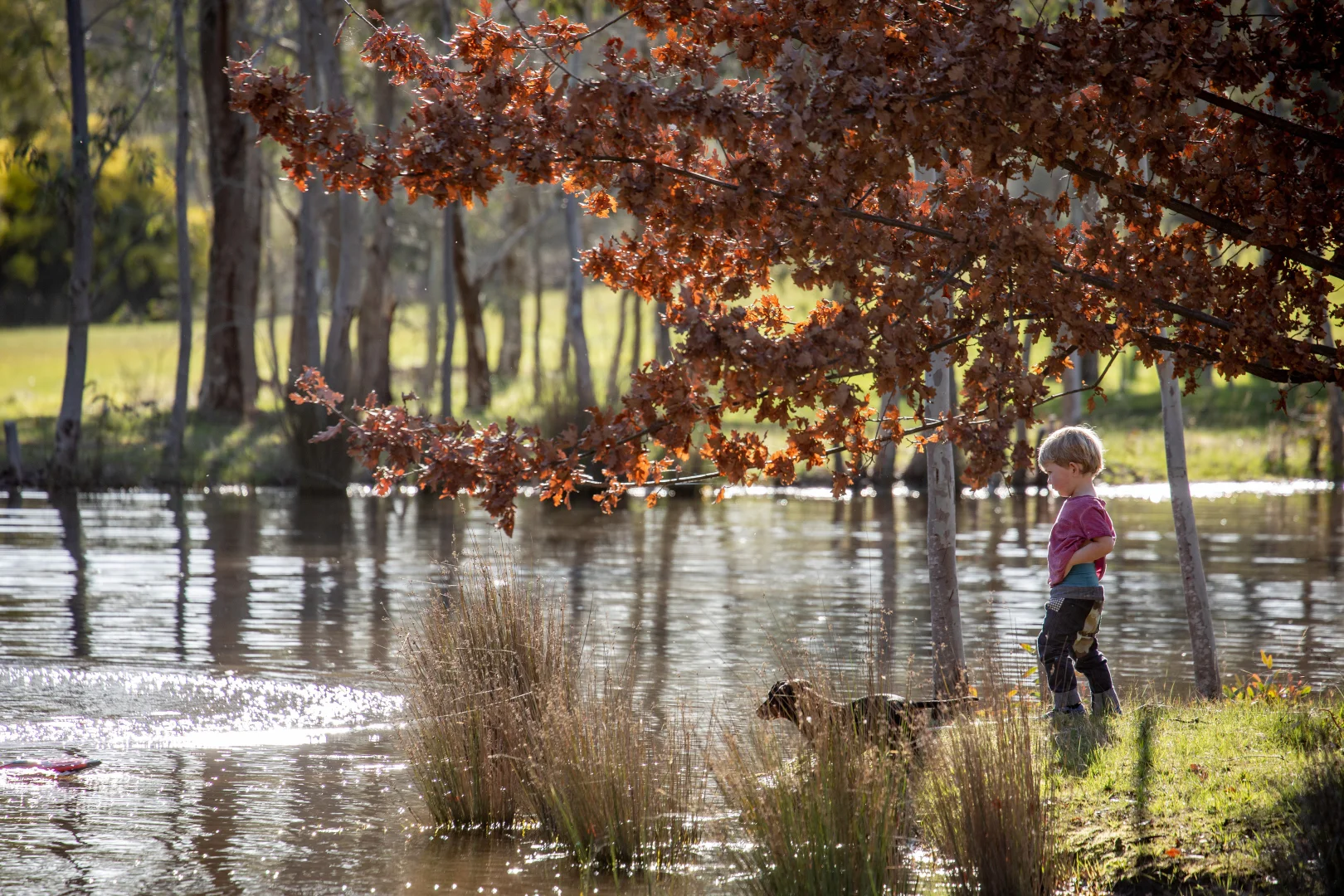 Additional image 16 of 590 Old Tolmie Road, Barwite VIC 3722