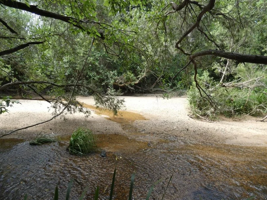 Additional image 24 of 397 Mollenhagens Road, Rosedale QLD 4674