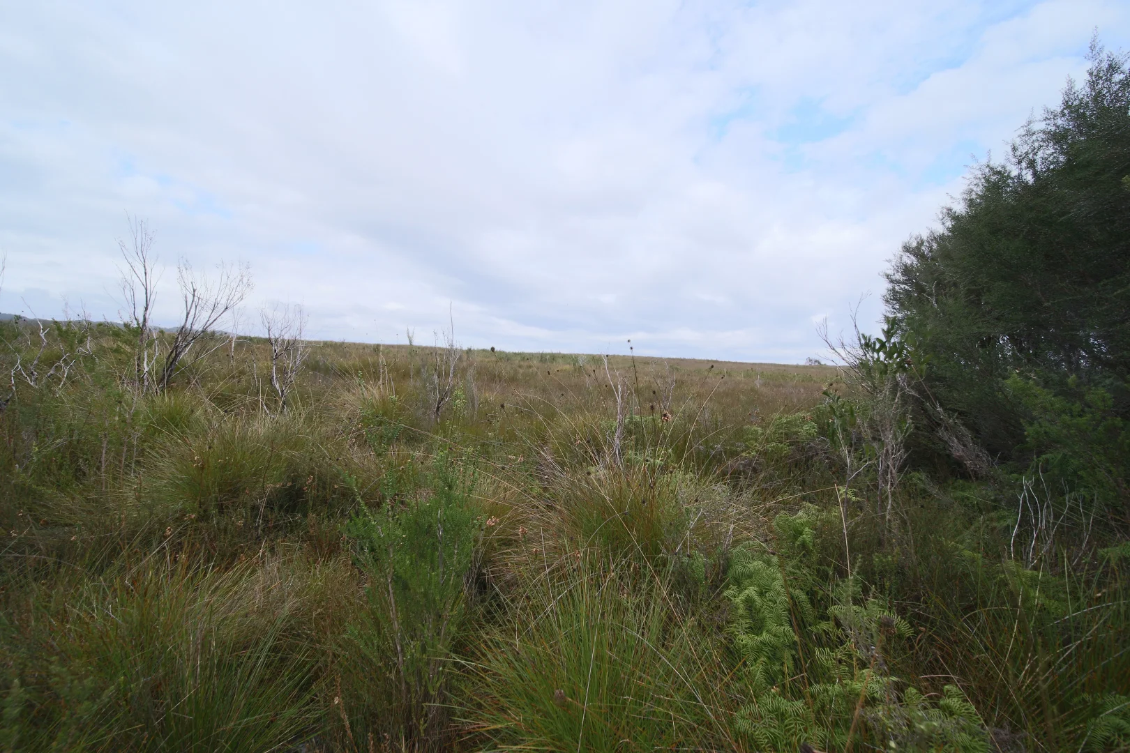 Additional image 4 of 21-22 Hamilton Street, Strahan TAS 7468