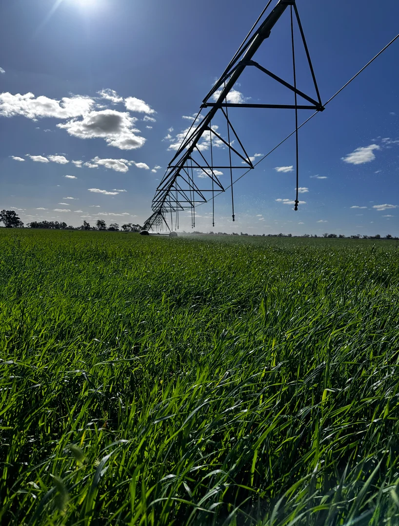 Additional image 46 of 229 Elliots Lane, Forbes NSW 2871