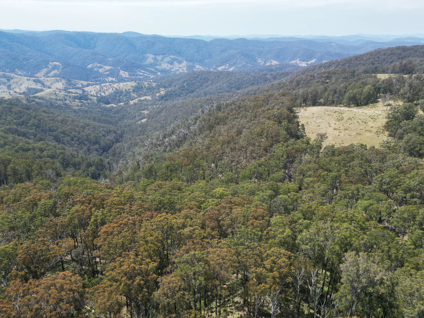 Additional image 8 of 638 Tops Road, Nowendoc NSW 2354