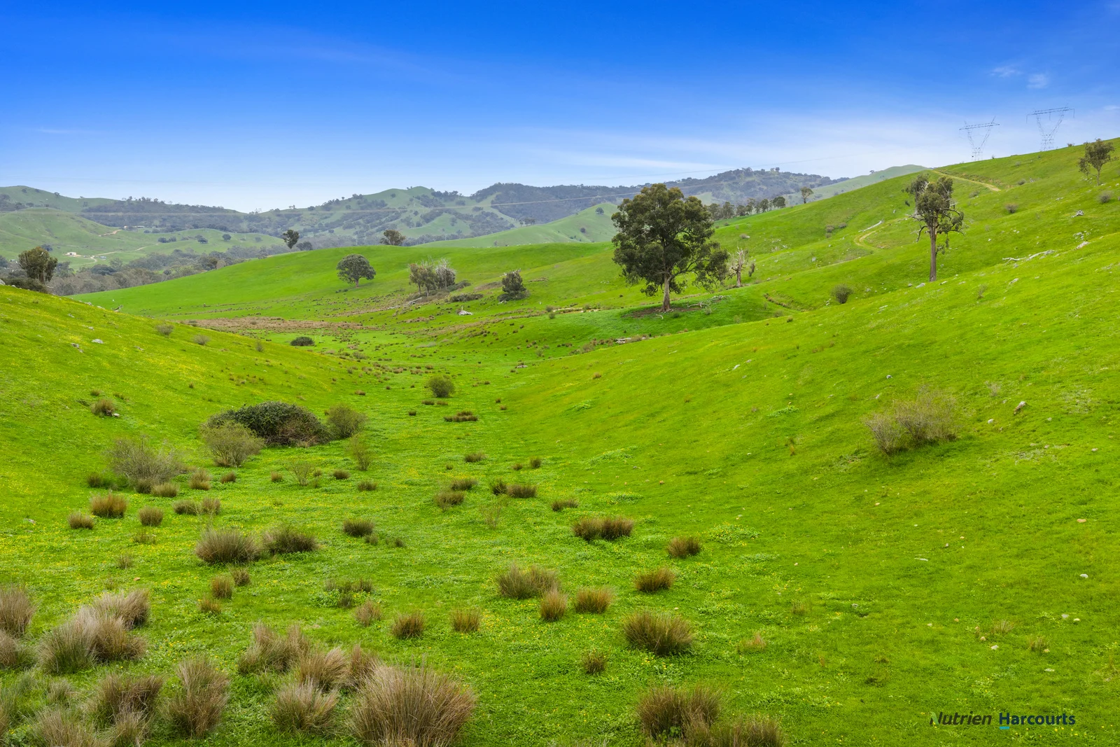 Additional image 24 of 53 Halls Outlet Road, Alexandra VIC 3714