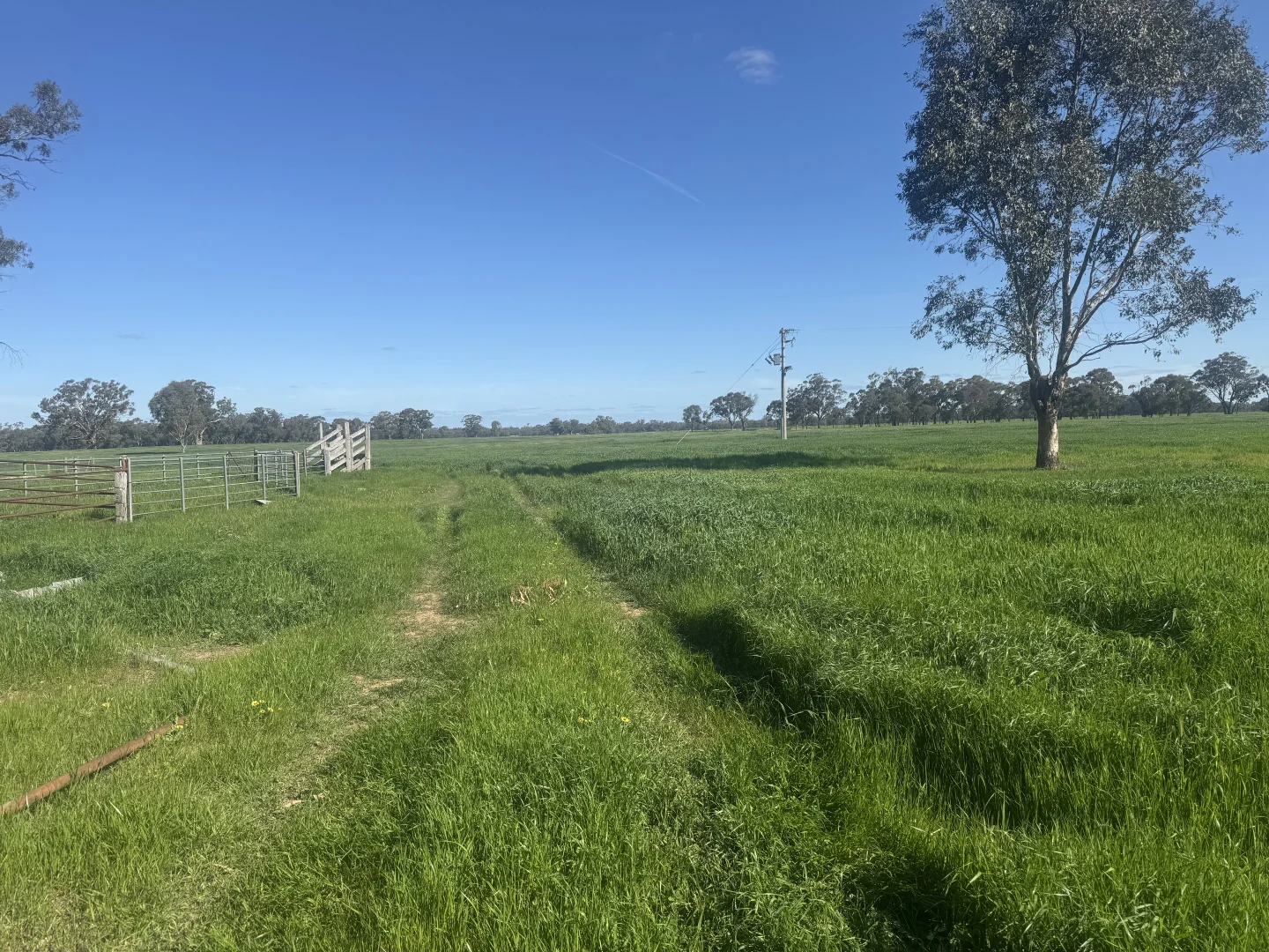 Additional image 27 of . Bangerang Road, Kanyapella VIC 3564