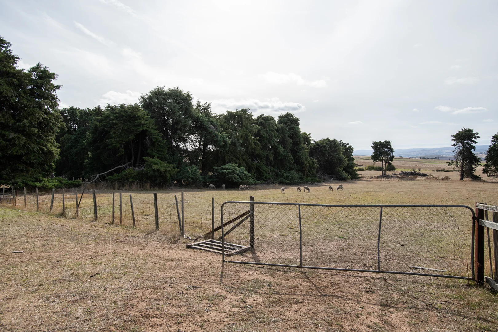 Additional image 4 of 924 White Hills Road, Evandale TAS 7212