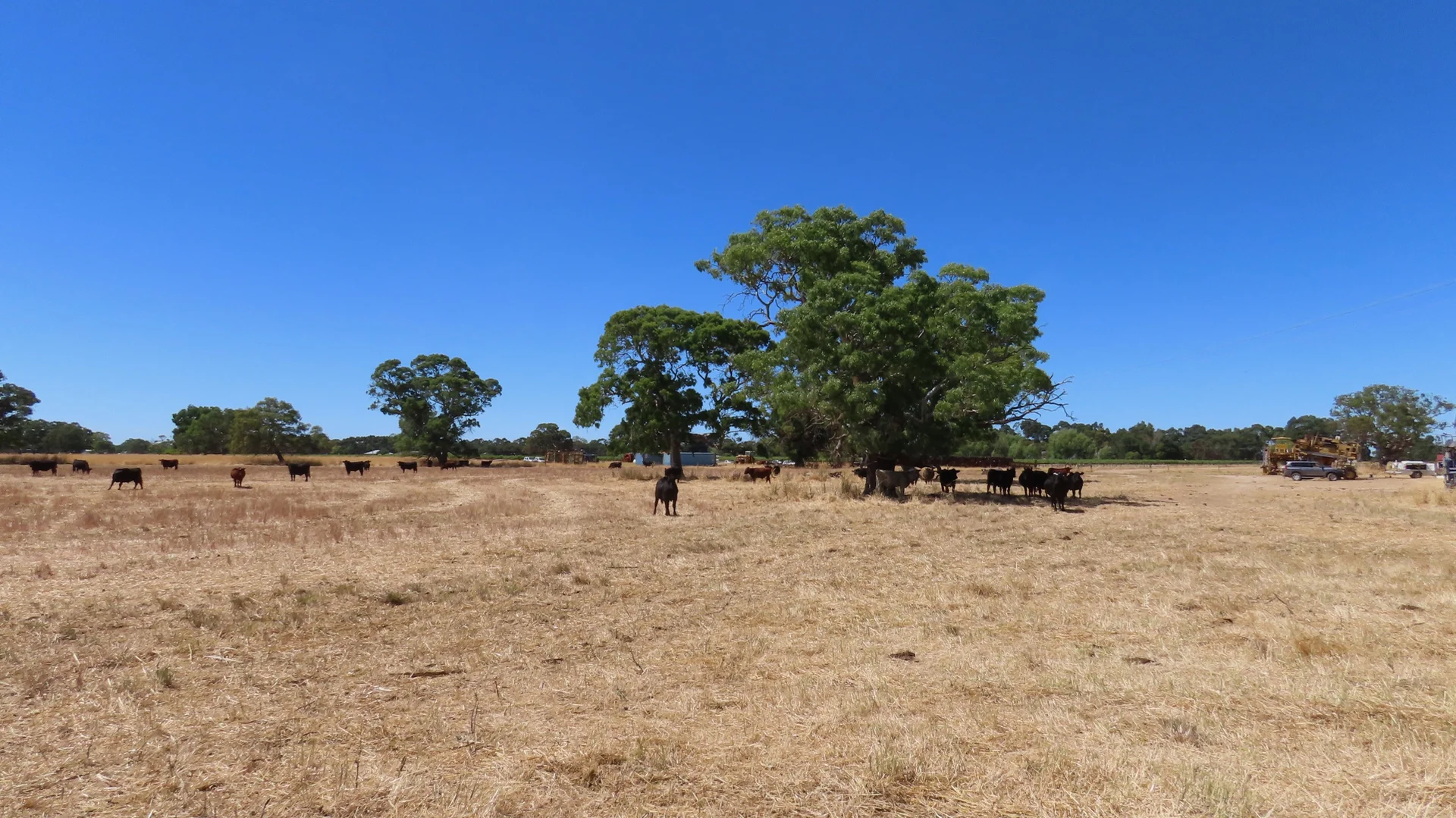 Additional image 19 of 8283 Clay Wells Rd, Penola SA 5277