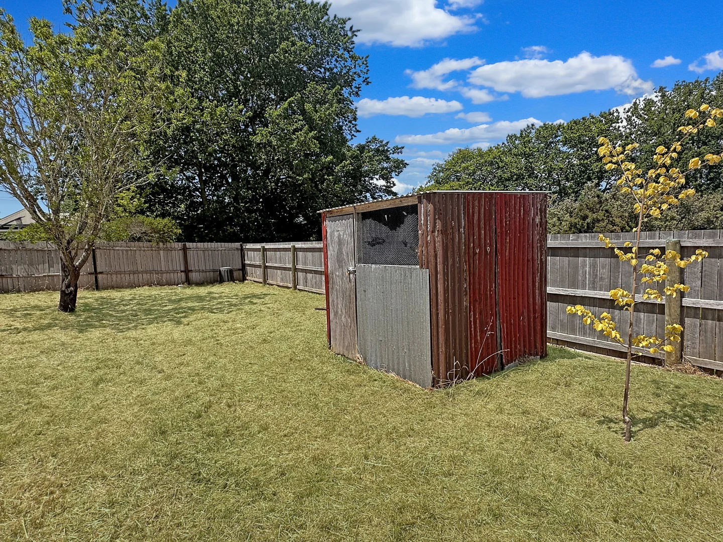 Additional image 13 of 37 Clive Street, St Marys TAS 7215