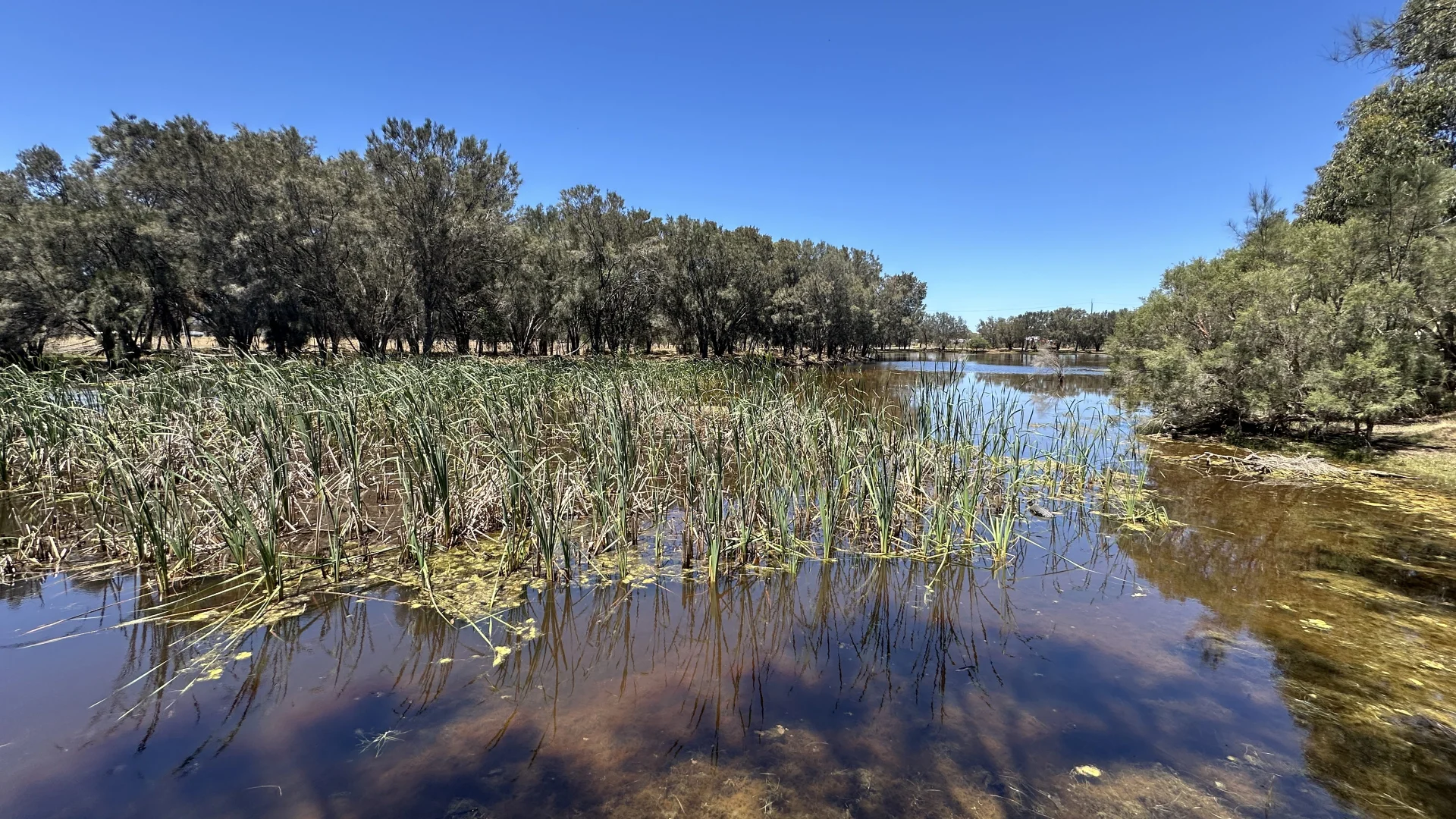 Additional image 4 of 1863 Thomas Road, Oakford WA 6121