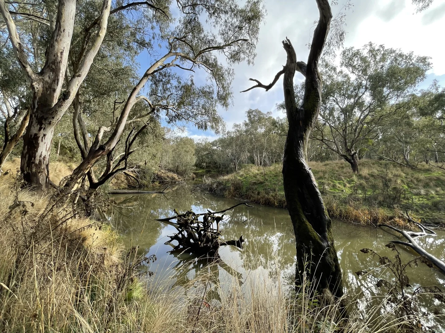 Dartmoor-Hamilton Road, Dartmoor VIC 3304