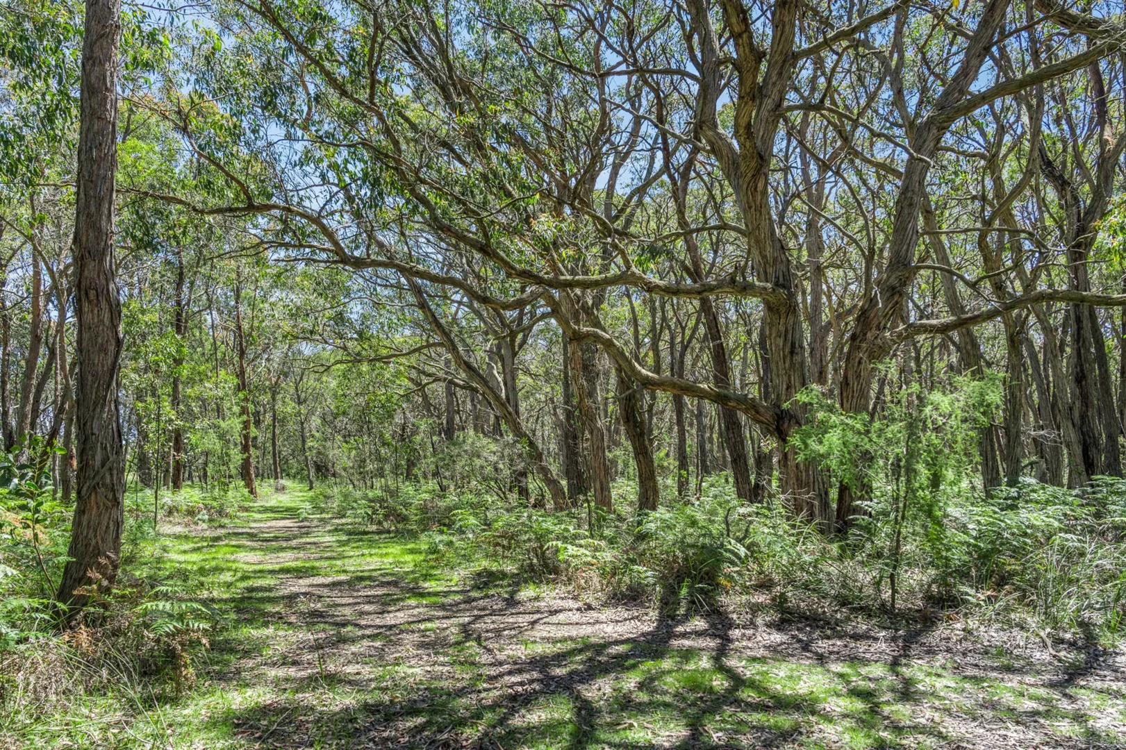 Additional image 5 of 10 Holloways Road, Wensleydale VIC 3241