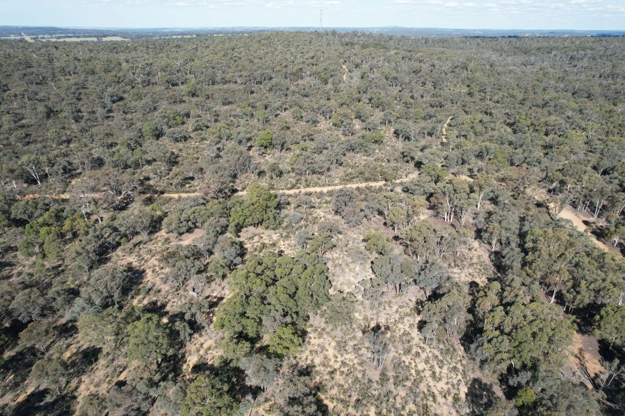 Additional image 11 of 200 Gumley Road, Bakers Hill WA 6562