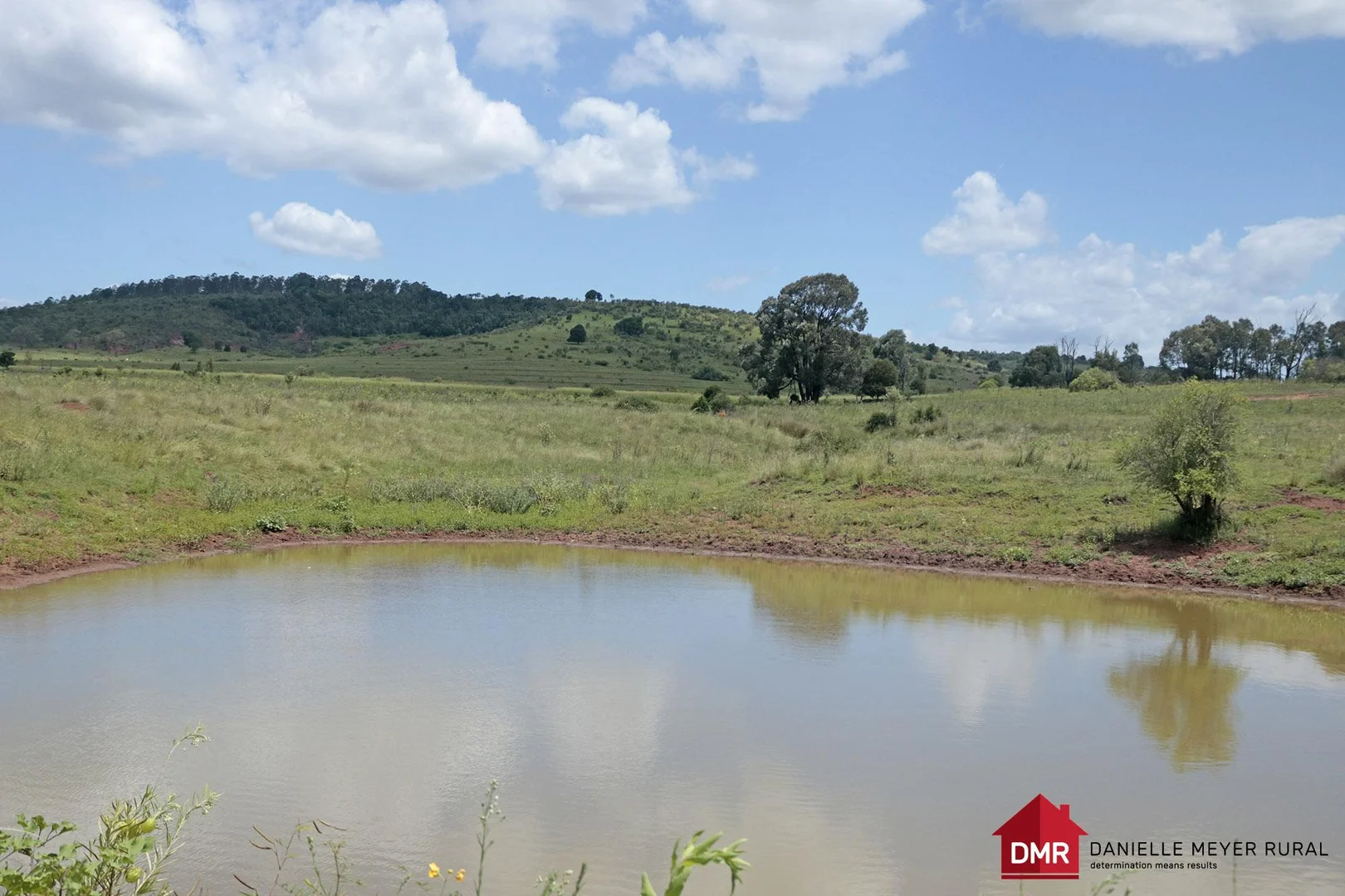 Additional image 5 of 205 Dempsters Road,, Binjour QLD 4625