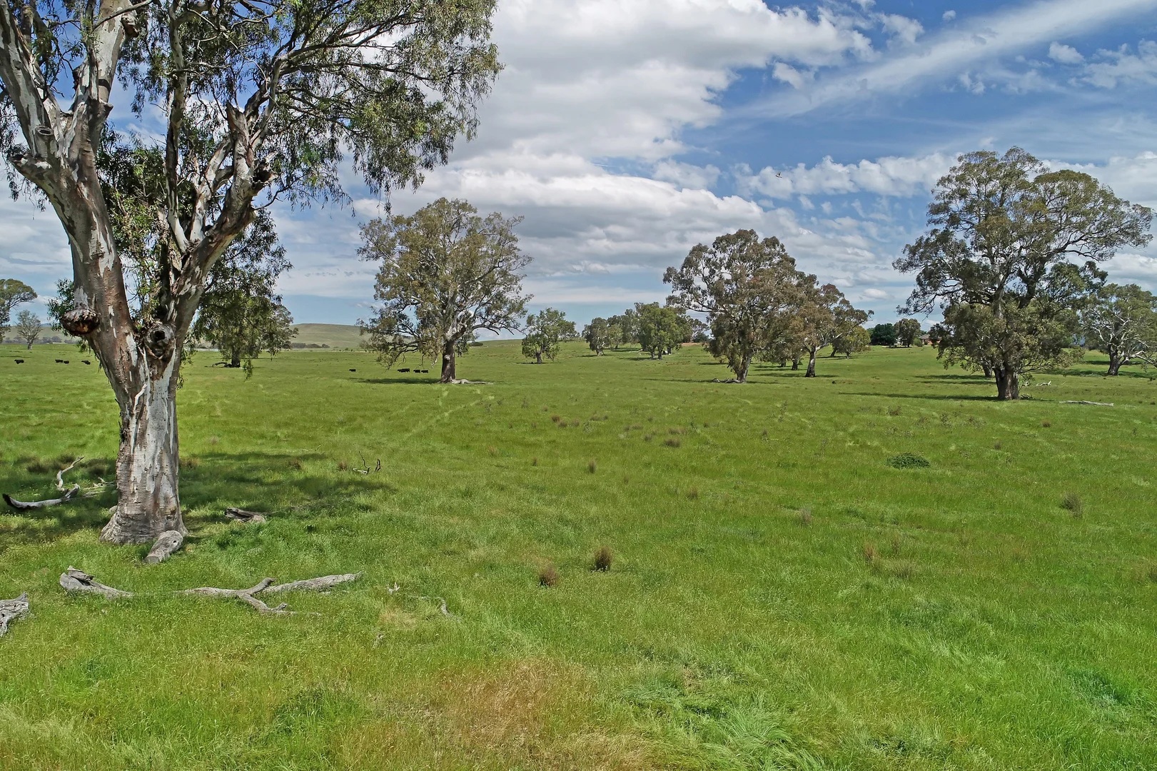 Additional image 15 of 3 Carlisle Hill Road, Mansfield VIC 3722