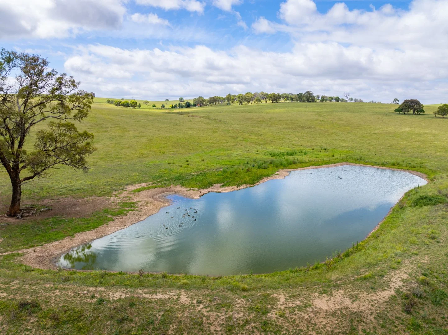 Additional image 31 of 188 Burkes Lane, Brewongle NSW 2795