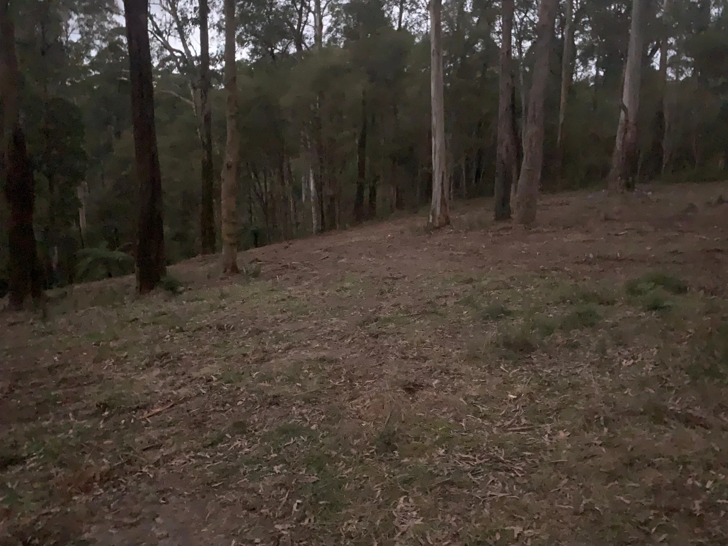 Additional image 9 of 23 Wombat Crescent, East Warburton VIC 3799