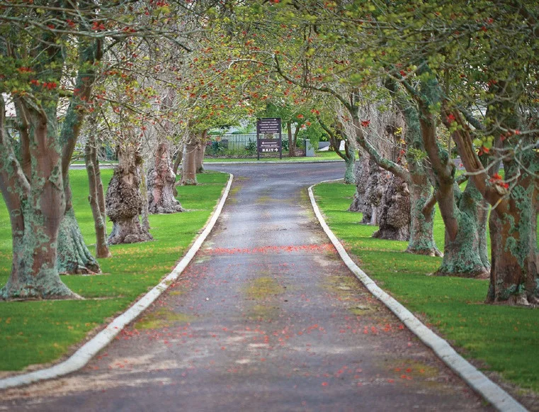 Additional image 16 of Blackwattle and Russell Road, West Cape Howe, Hay Shed Hill and wineries, Frankland River WA 6396