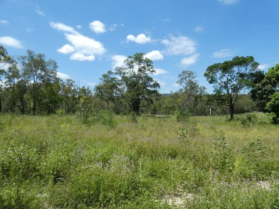 Additional image 6 of Lot 41 Moolyung Road, Waterloo QLD 4673