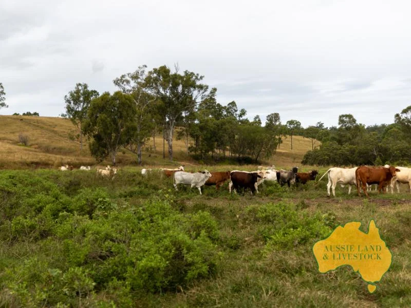 Additional image 15 of 0 "Tracey's" & "Green Gully", Monto - Mount Perry Road, Mount Perry QLD 4671