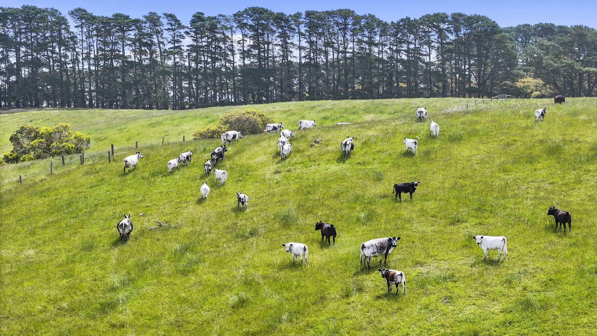 Additional image 23 of 137 Faggotter Road, Myponga SA 5202