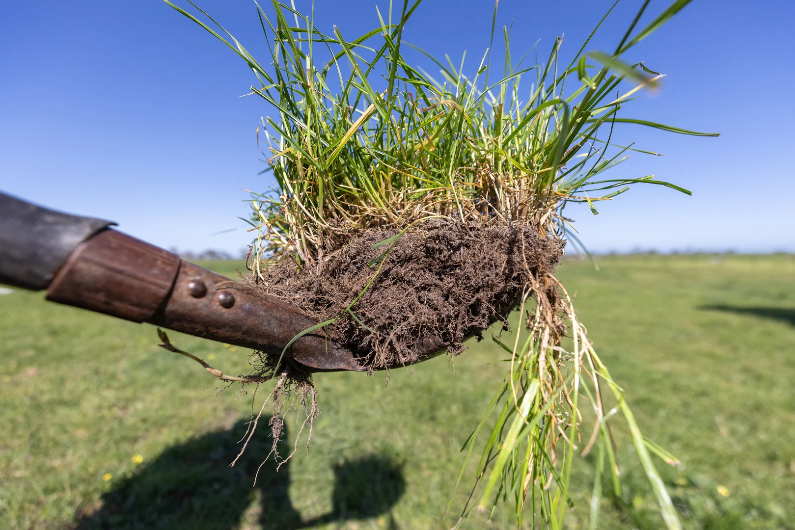 Additional image 11 of 294 Bowaka Road, Kingston Se SA 5275