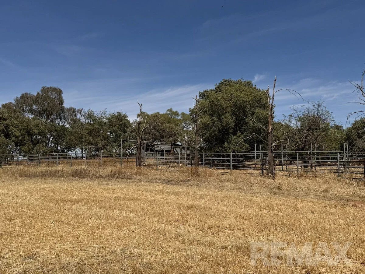 Additional image 3 of 9547 Mahonga Road, Urana NSW 2645