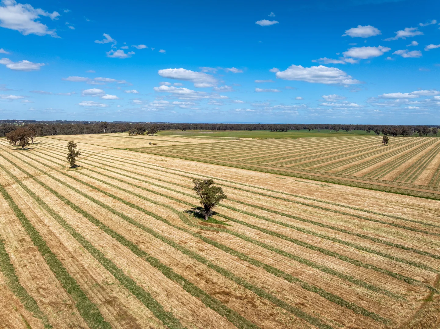 Additional image 12 of 1623 Redlands Road, Ringwood NSW 2646