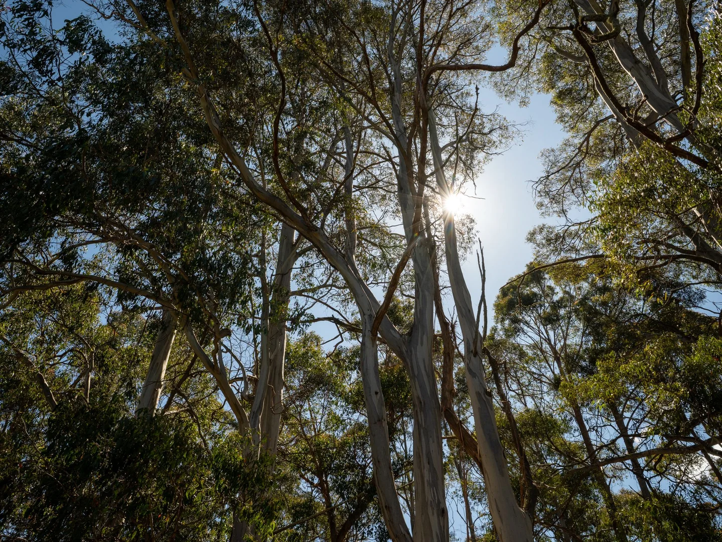 Additional image 38 of 38 Kop Road, Erriba TAS 7310