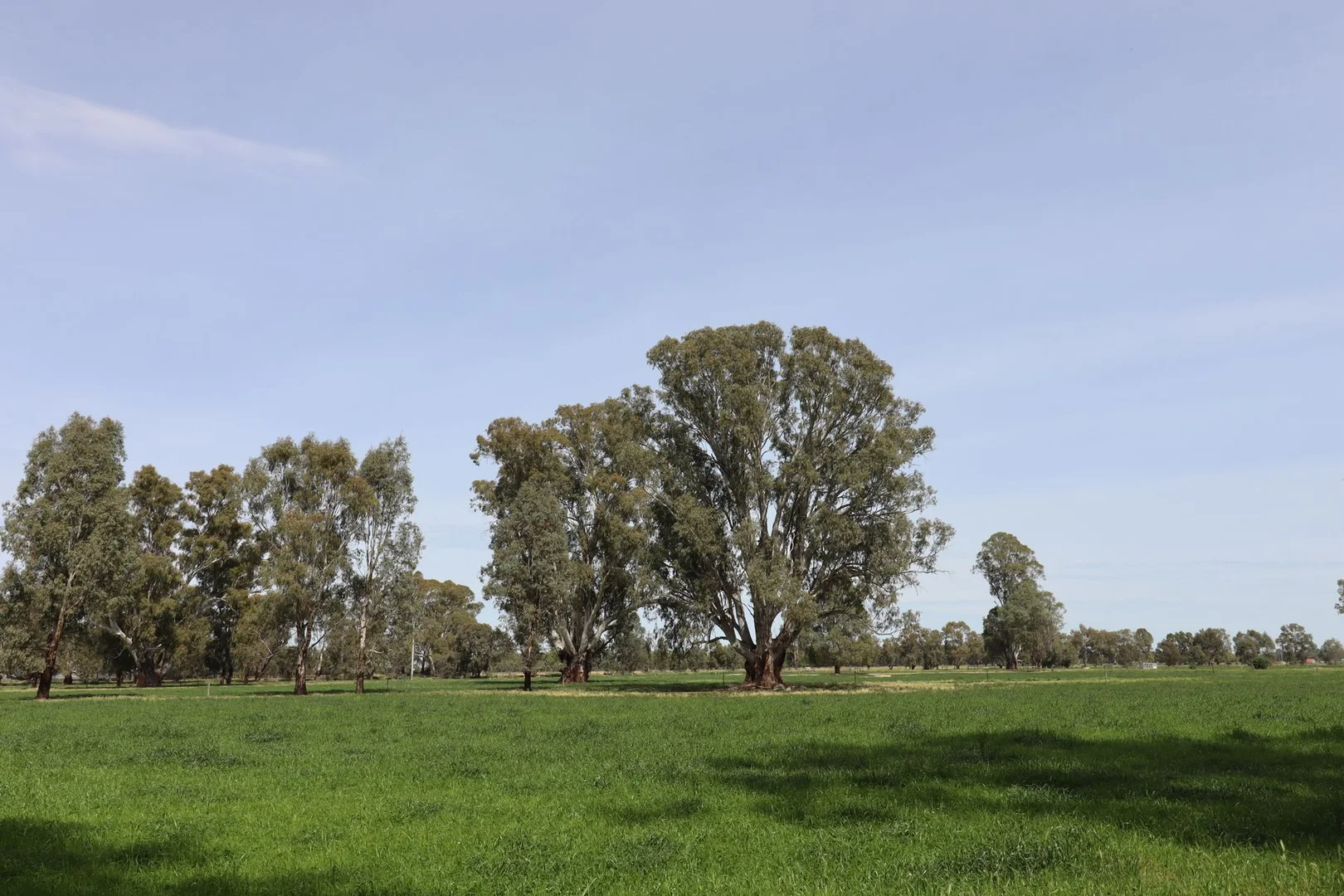 Additional image 31 of 135 Kennedys Road, Cohuna VIC 3568