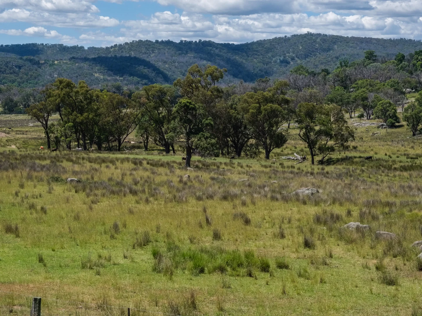 Additional image 10 of 778 Torryburn Road, Yarrowyck NSW 2358