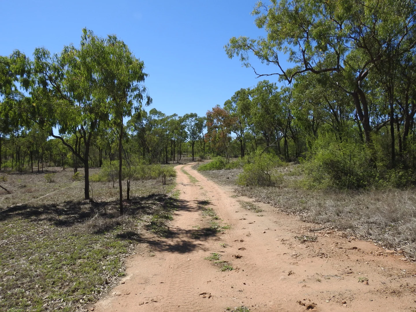 Additional image 14 of Broughton QLD 4820