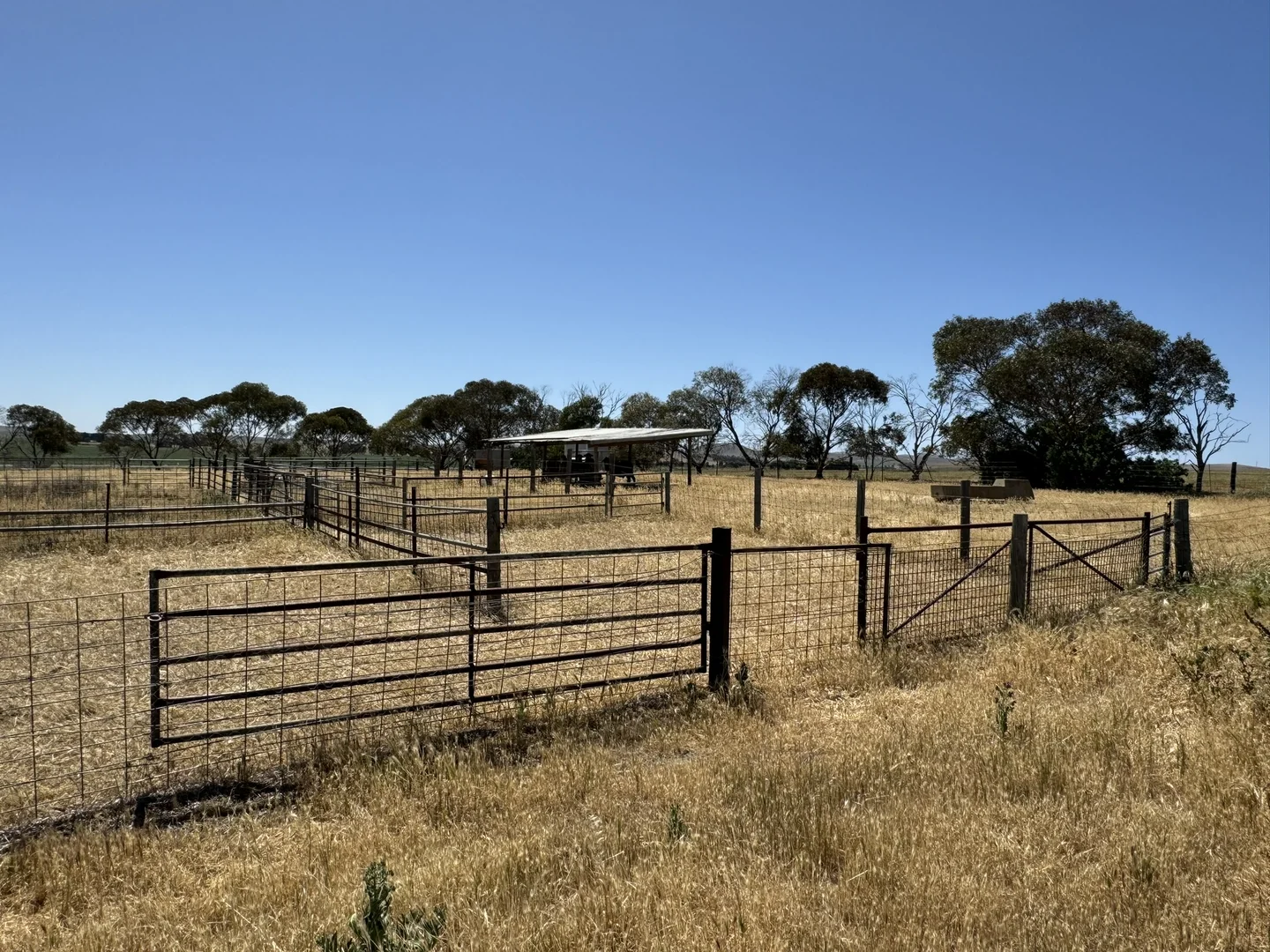 Additional image 32 of 1 Tohls Road, Booborowie SA 5417