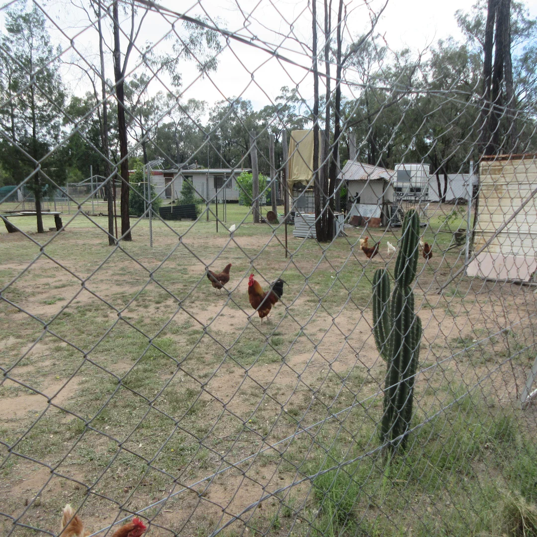 Additional image 12 of Tara QLD 4421