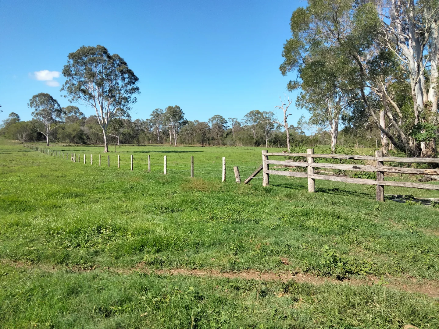 Additional image 47 of 2913 Rosedale Road, Yandaran QLD 4673