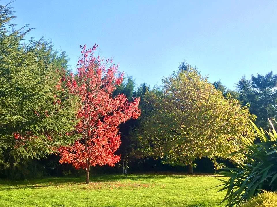 Additional image 30 of 299 Stag Road, Kingston VIC 3364