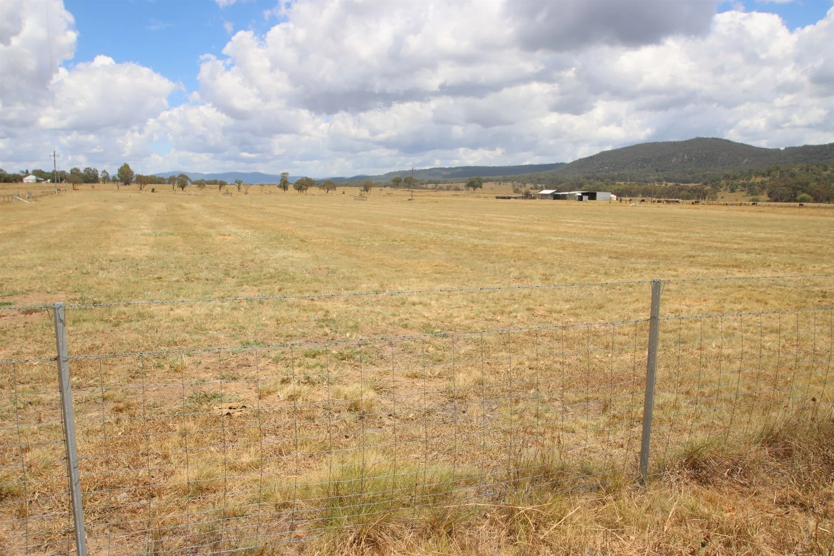Additional image 6 of 319 Washpool Creek Road, Tenterfield NSW 2372