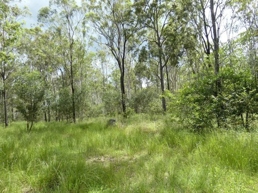 Additional image 26 of 397 Mollenhagens Road, Rosedale QLD 4674