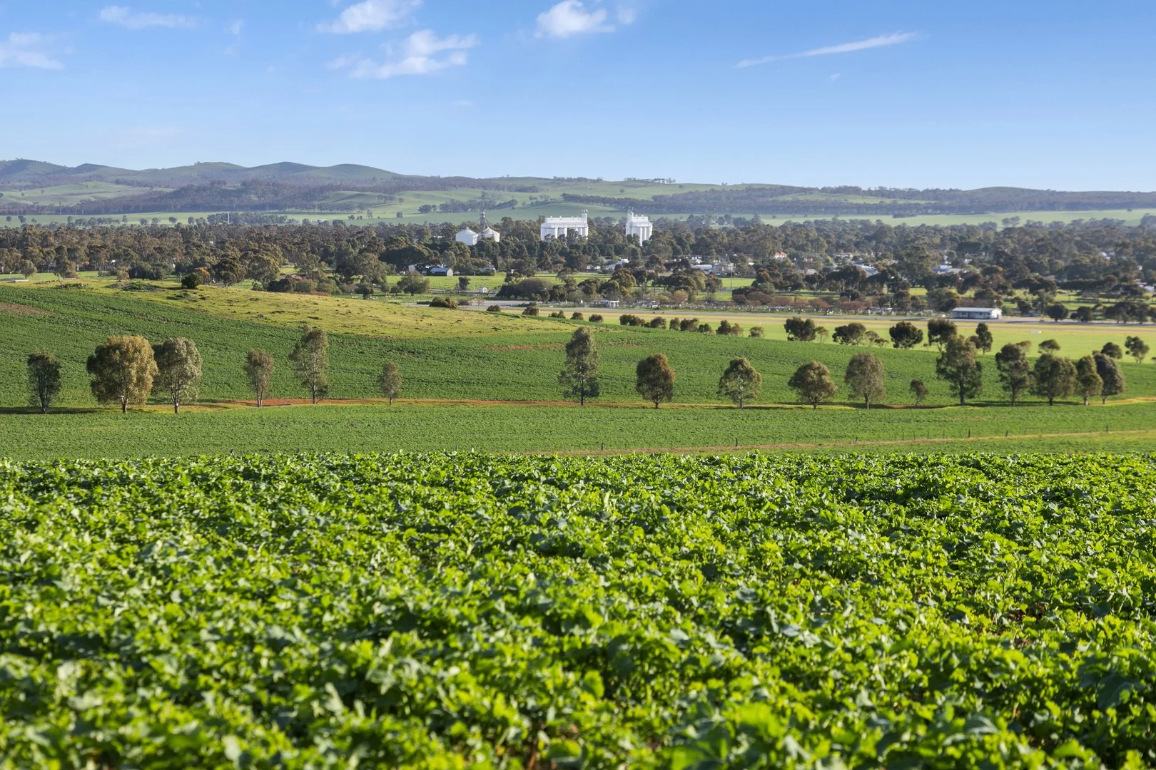 'Hamilton Run Farm' Murchland Drive, Jamestown SA 5491