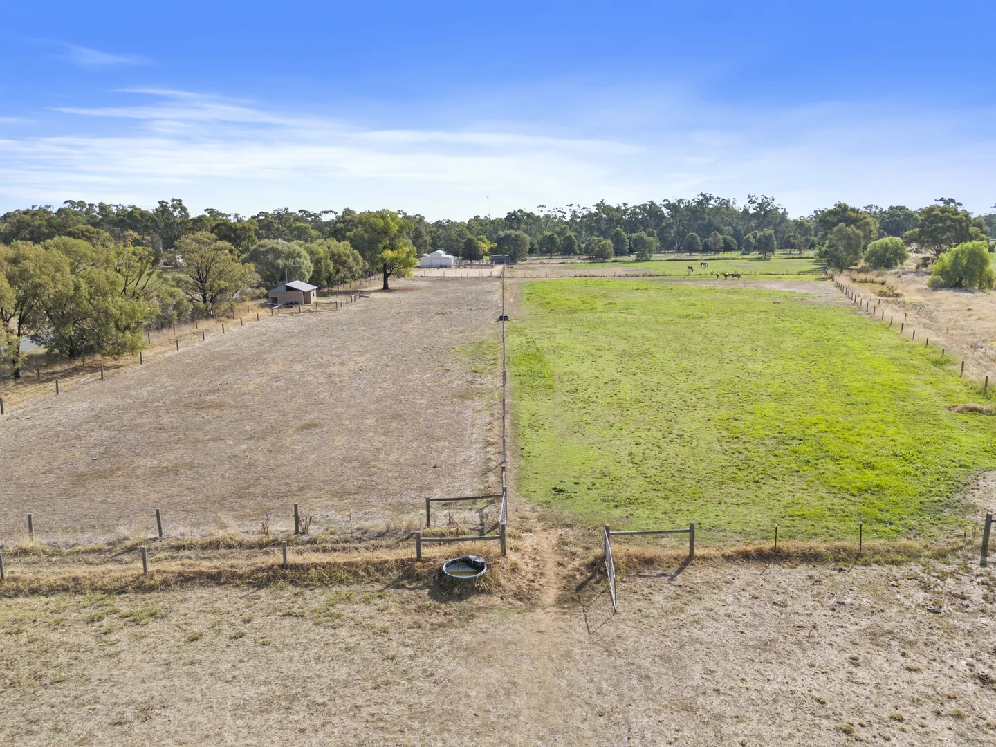 Additional image 28 of 141 Nathalia-Waaia Road, Nathalia VIC 3638
