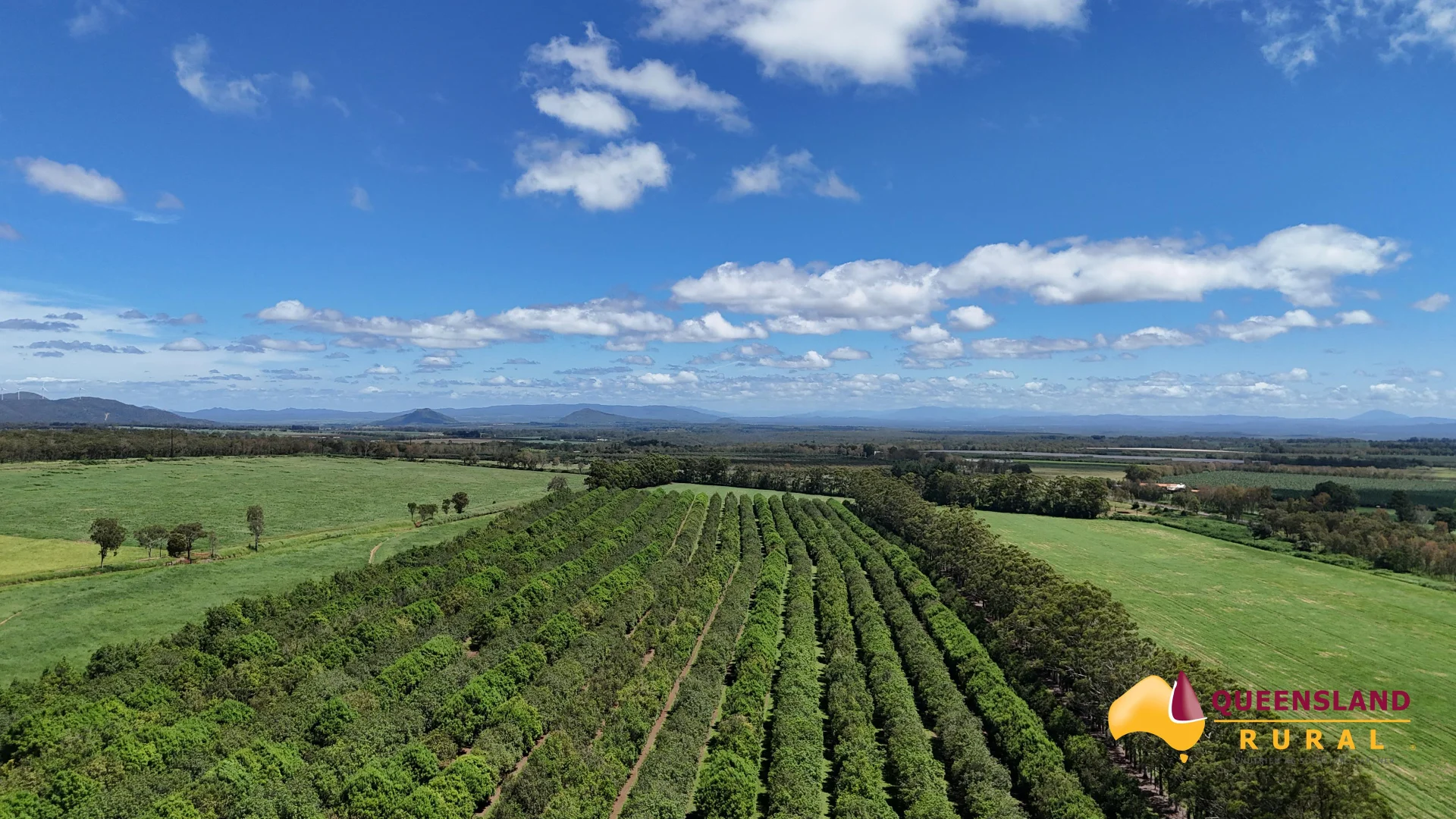 Additional image 6 of Banchio Road, Tolga QLD 4882