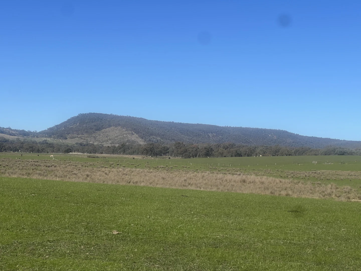Additional image 21 of Cheesley Gate Road, Indigo Valley VIC 3688