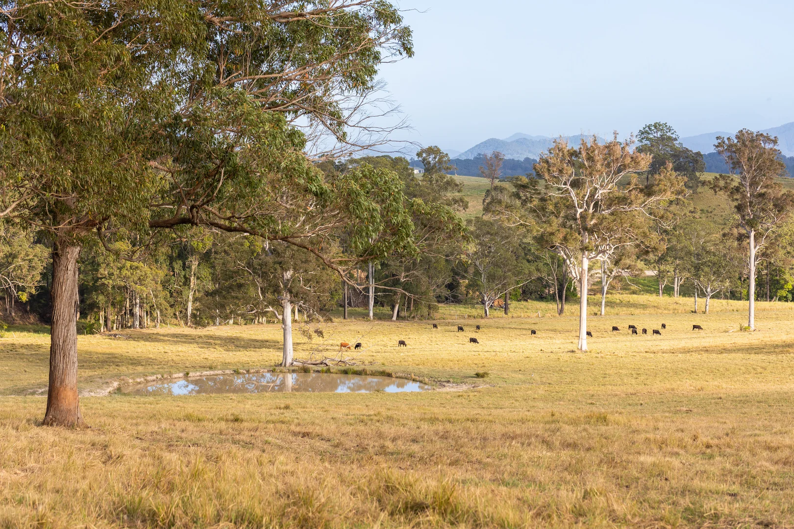 Additional image 13 of 152 Red Gully Road, Burrell Creek NSW 2429