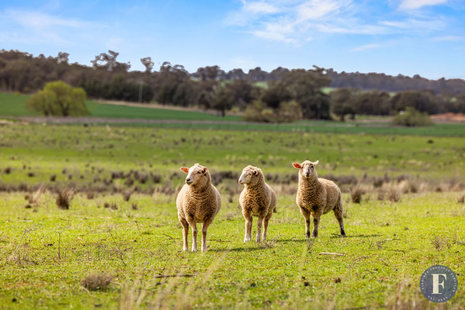 Additional image 21 of 893 Deaths Lane, Pullabooka NSW 2810
