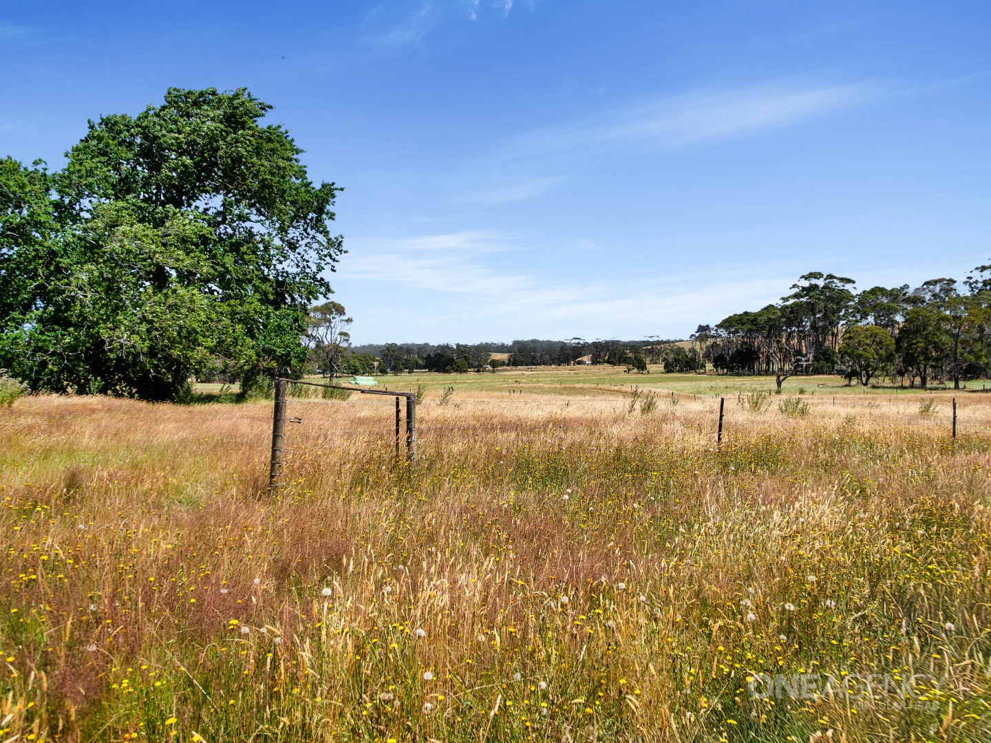 Additional image 27 of 37 Grooms Cross Road, Irishtown TAS 7330