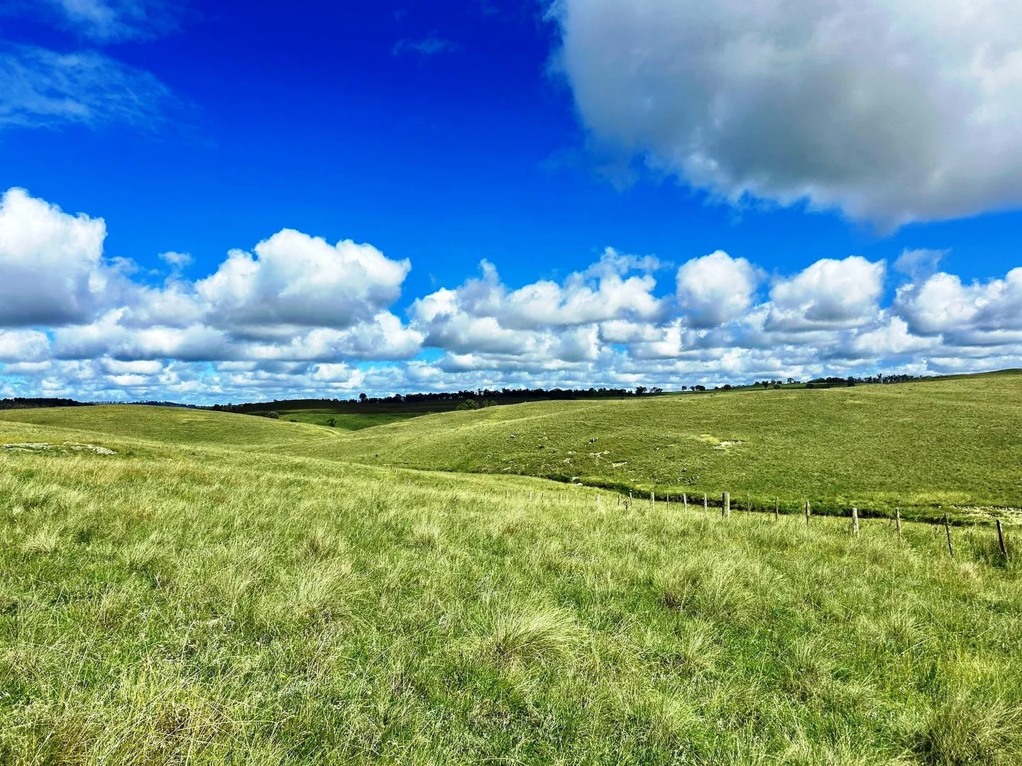 Additional image 4 of 1815 Hillview Road, Uralla NSW 2358