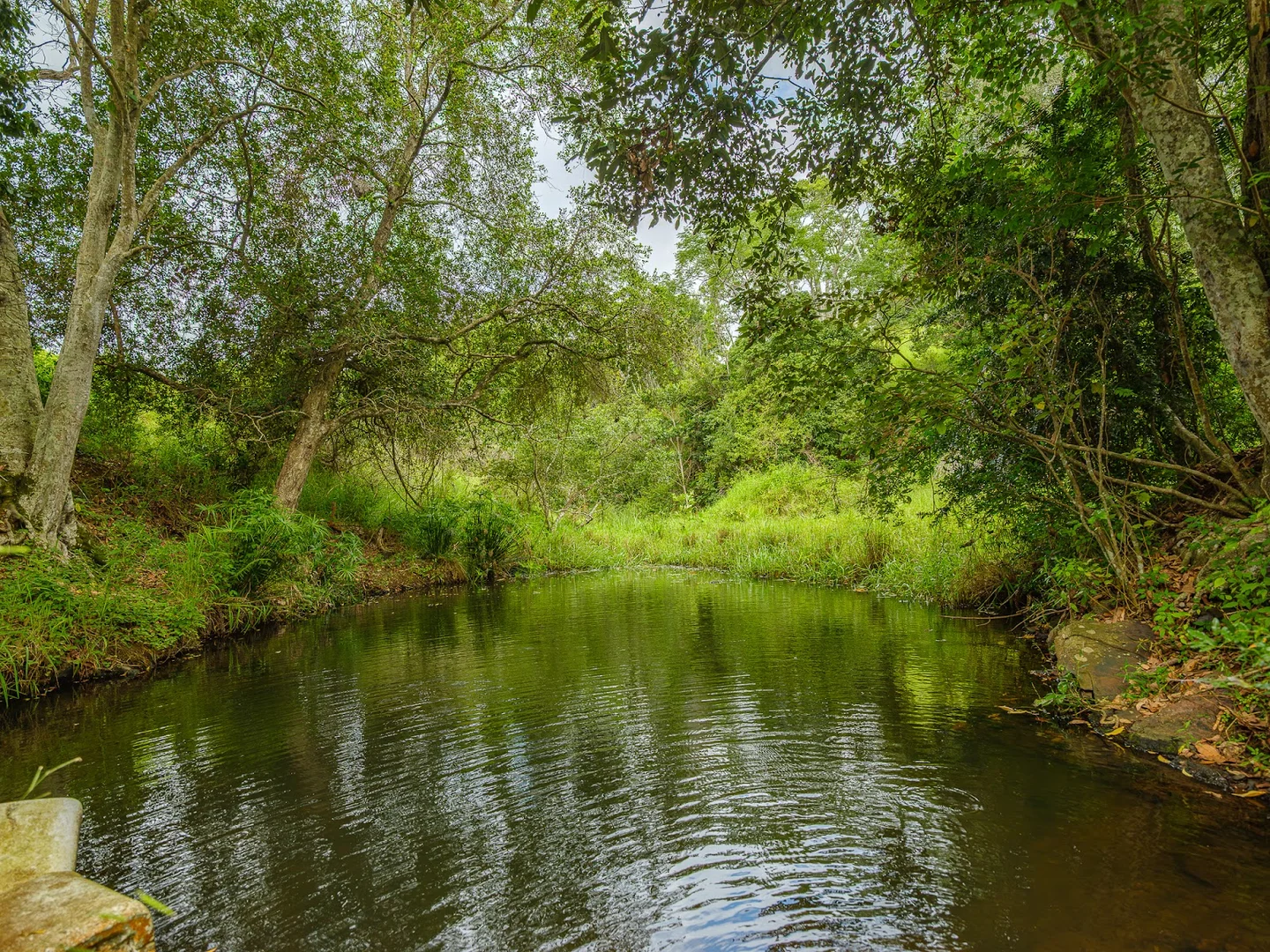 Additional image 3 of 149 Coppermine Creek Road, Langshaw QLD 4570