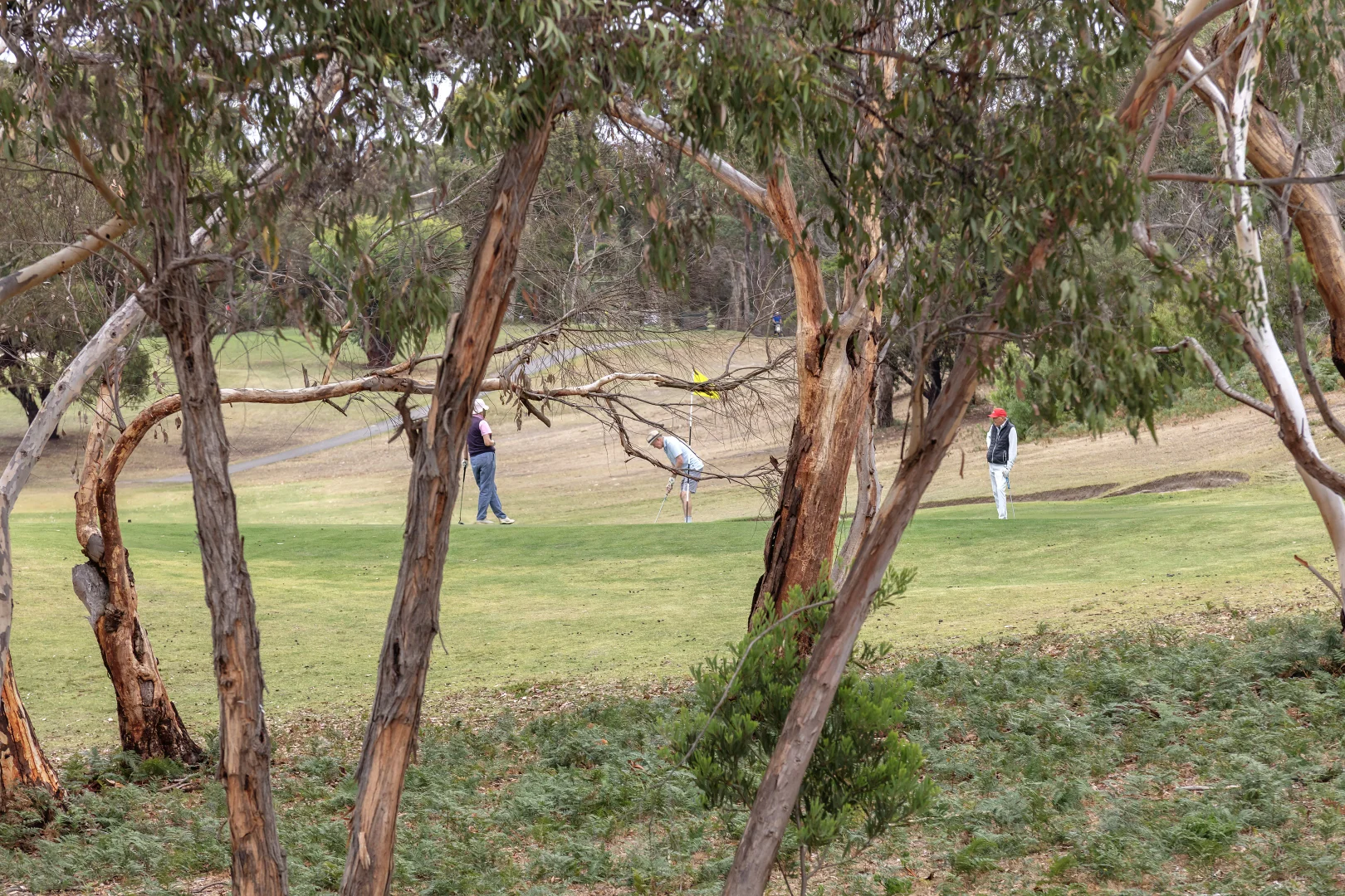 Additional image 24 of 38 Golf Links Road, Anglesea VIC 3230